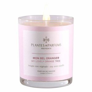 <strong>PLANTES & PARFUMS</strong><br> Vela Flor de Naranjo