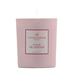<strong>PLANTES & PARFUMS</strong><br> Vela de Flor de Cerezo