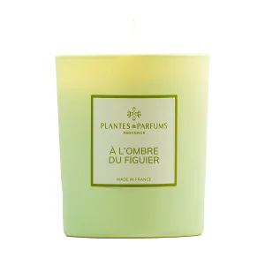 <strong>PLANTES & PARFUMS</strong><br> Vela de Higo