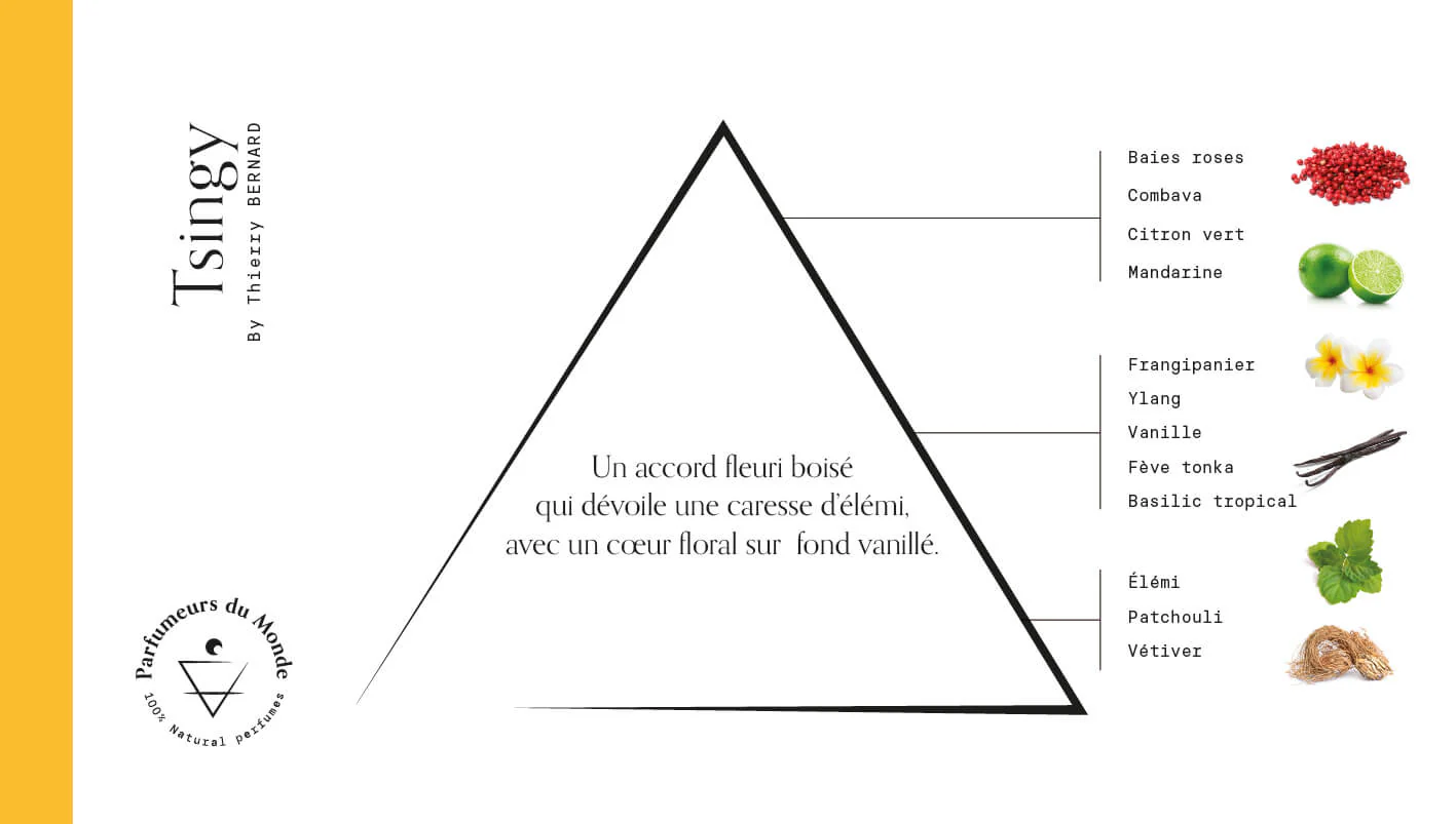 <strong>PARFUMEURS DU MONDE</strong><br> TSINGY - Imagen 3