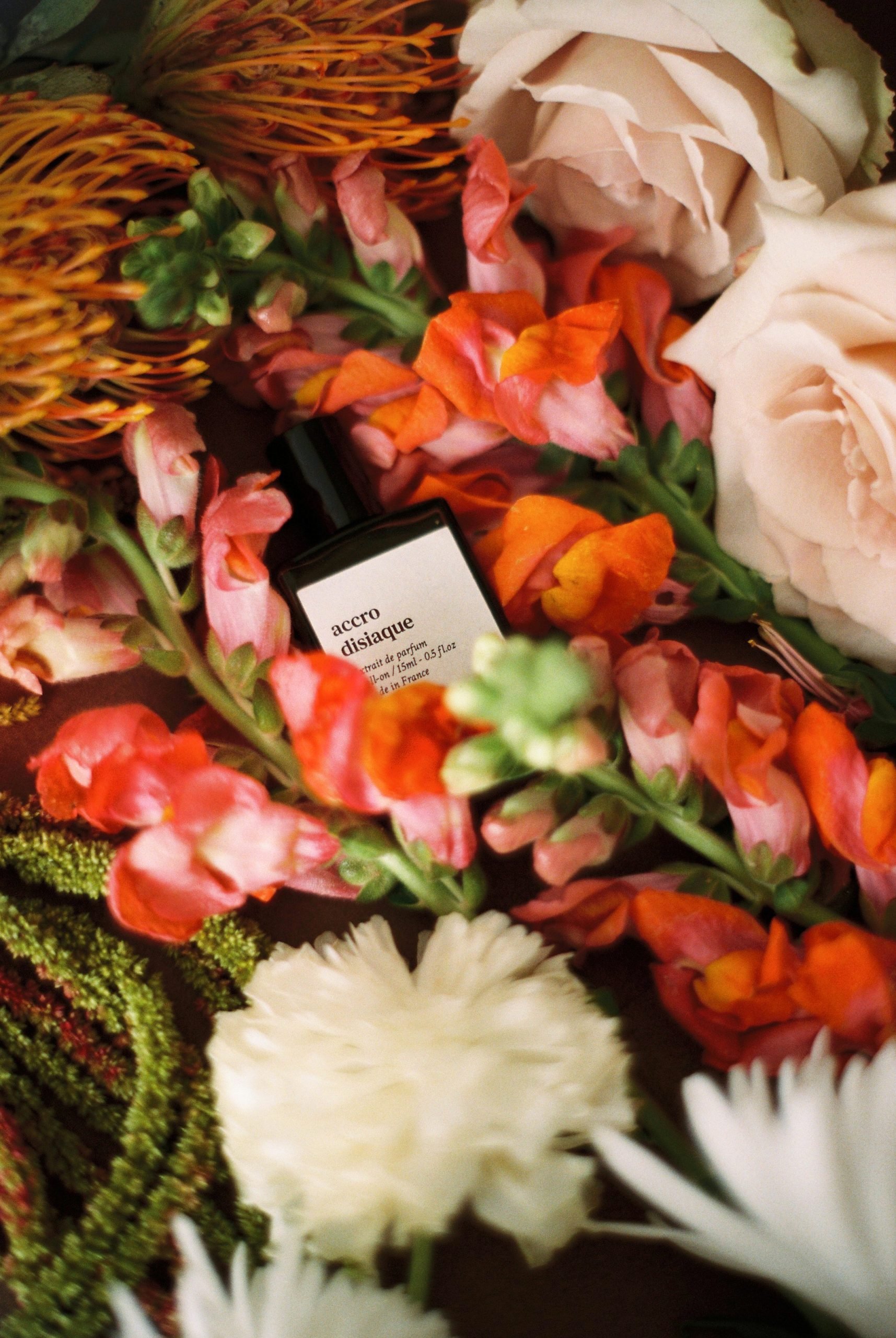 <strong>VERSATILE PARIS</strong><br> Accrodissiaque - Imagen 2