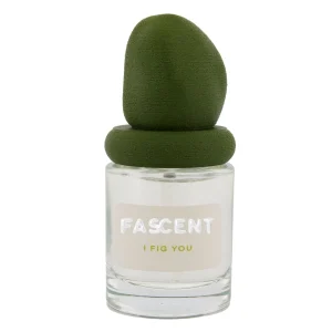 <strong>FASCENT</strong><br>I fig you